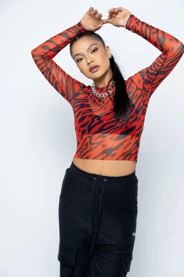 Alternative view of Lava mesh cropped