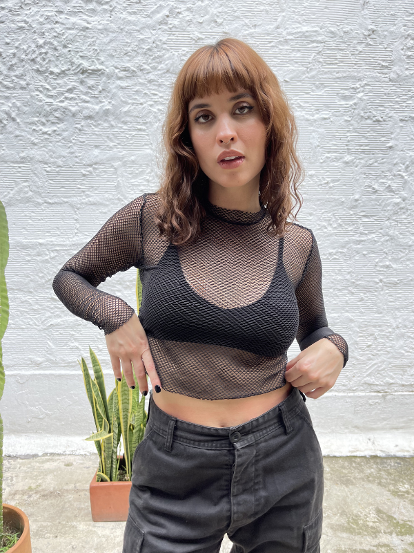 Alternative view of Cropped mesh